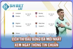 Lịch Thi Đấu Bóng Đá Mới Nhất - Xem Ngay Thông Tin Chuẩn